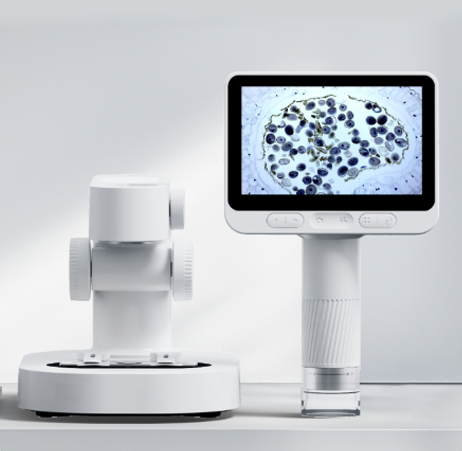 Beaverlab Darwin M2 Beaverlab Darwin M2
