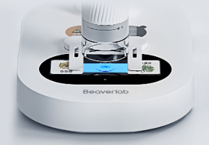Beaverlab Darwin M2 Beaverlab Darwin M2