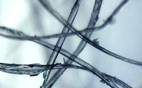 Beaverlab Darwin MX Pro