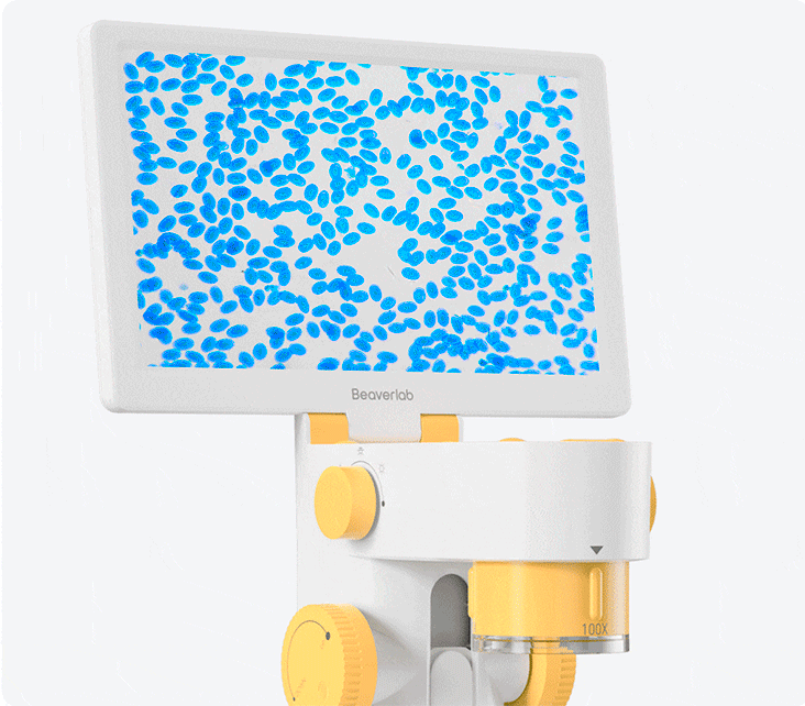 Beaverlab Darwin MX Pro Beaverlab Darwin MX Pro
