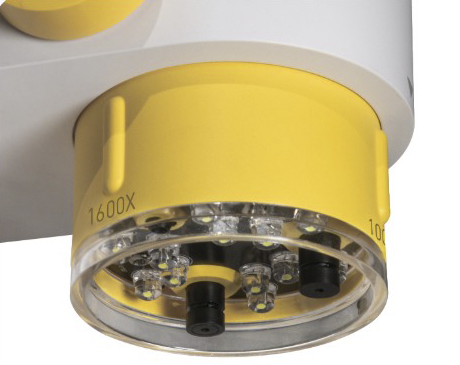 Beaverlab Darwin MX Pro Beaverlab Darwin MX Pro