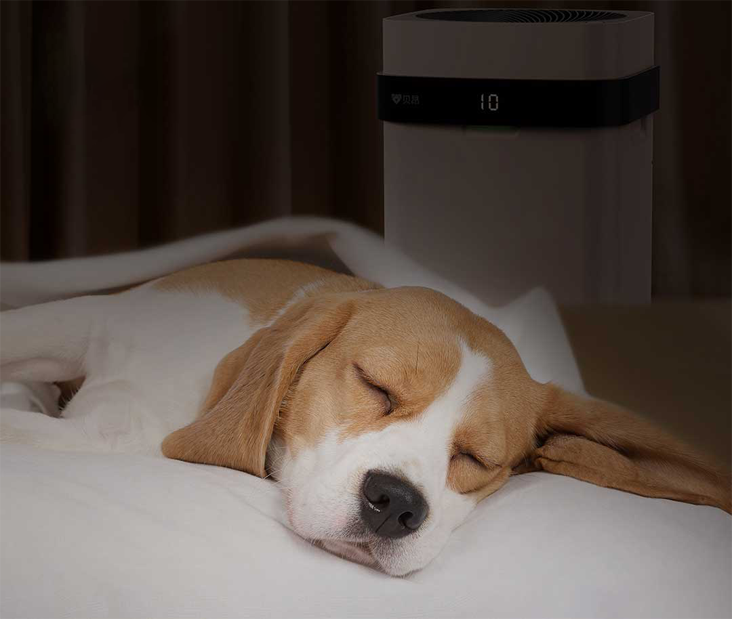 Pet Air Purifier X3 Pet Air Purifier X3