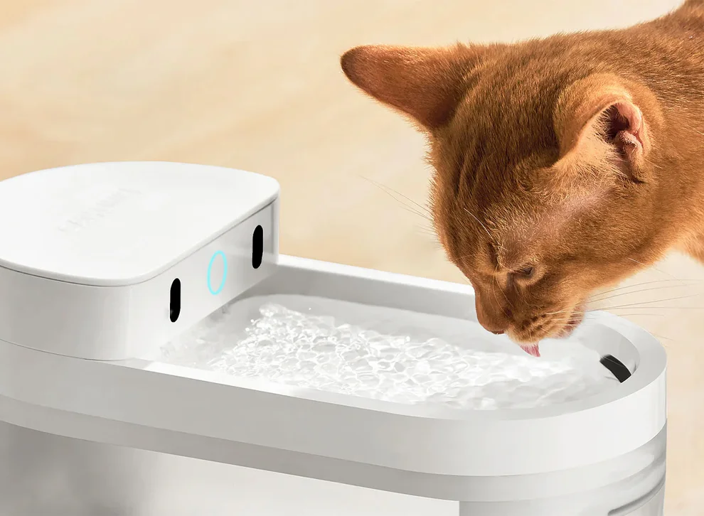 AI Water Fountain