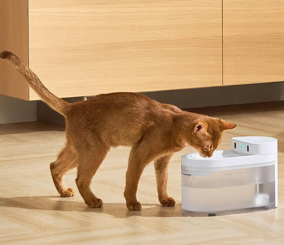 AI Water Fountain