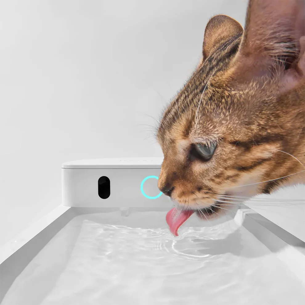 AI Water Fountain