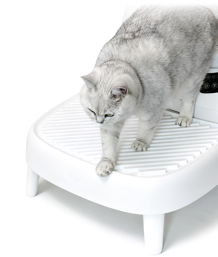 CatLink Open-X stairway CatLink Open-X stairway