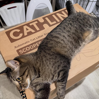 CatLink Scoop Robot Pro
