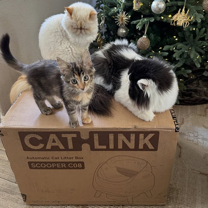CatLink Scoop Robot Pro