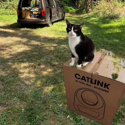 CatLink Scoop Robot Pro