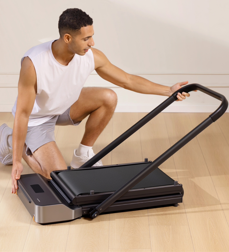 King Smith WalkingPad Z1P King Smith WalkingPad Z1P