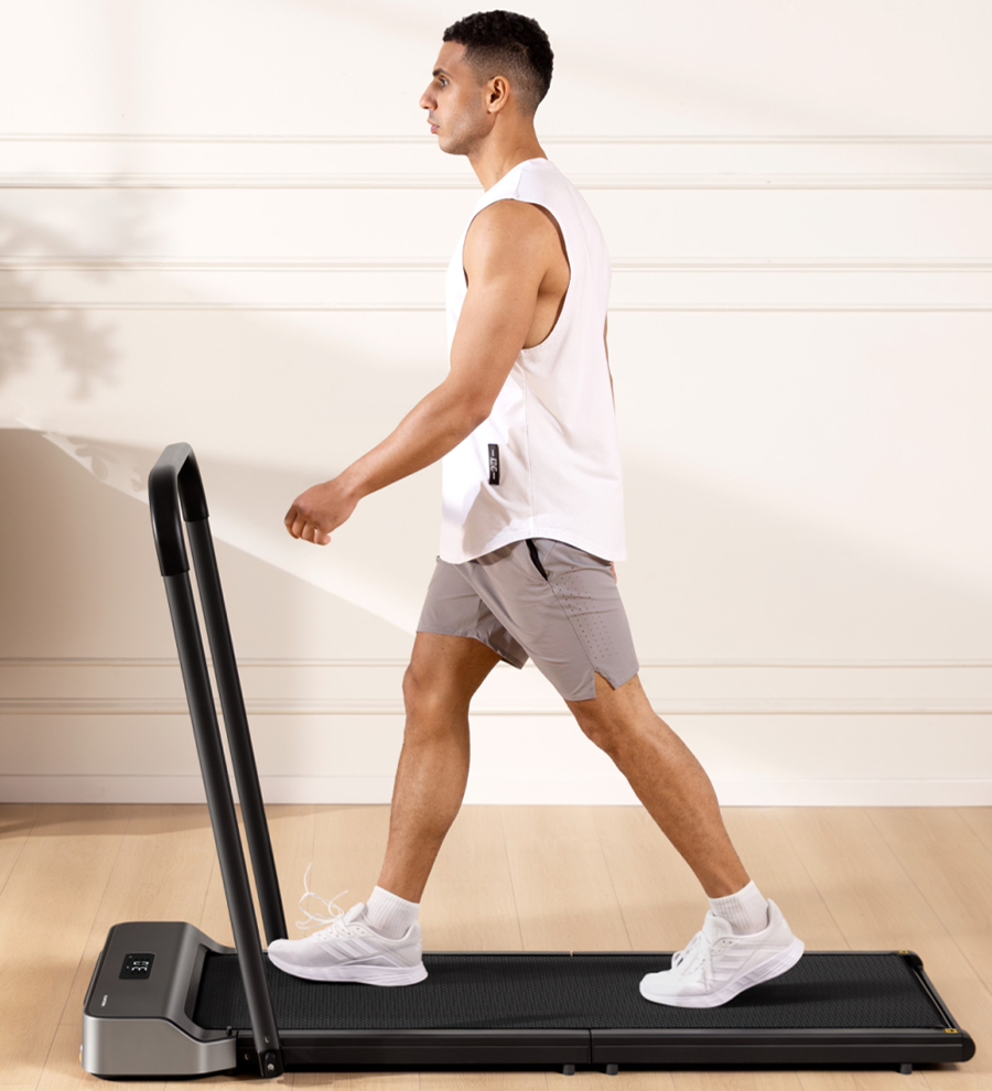 King Smith WalkingPad Z1P King Smith WalkingPad Z1P