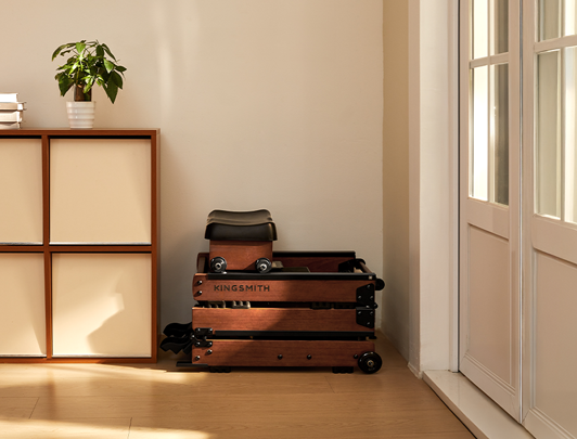 KingSmith Rowing Machine Lite (WR3L)