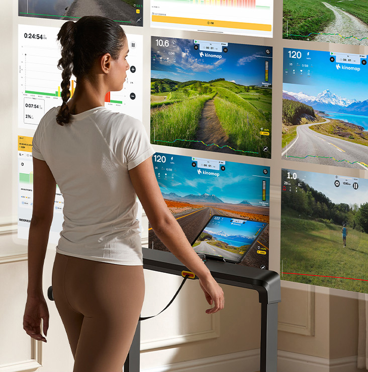 KingSmith WalkingPad MX8