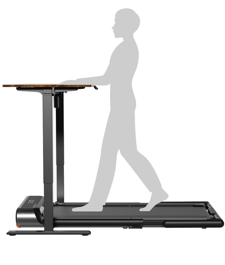KingSmith WalkingPad R3 KingSmith WalkingPad R3