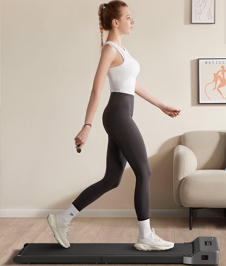 KingSmith WalkingPad Z1 KingSmith WalkingPad Z1