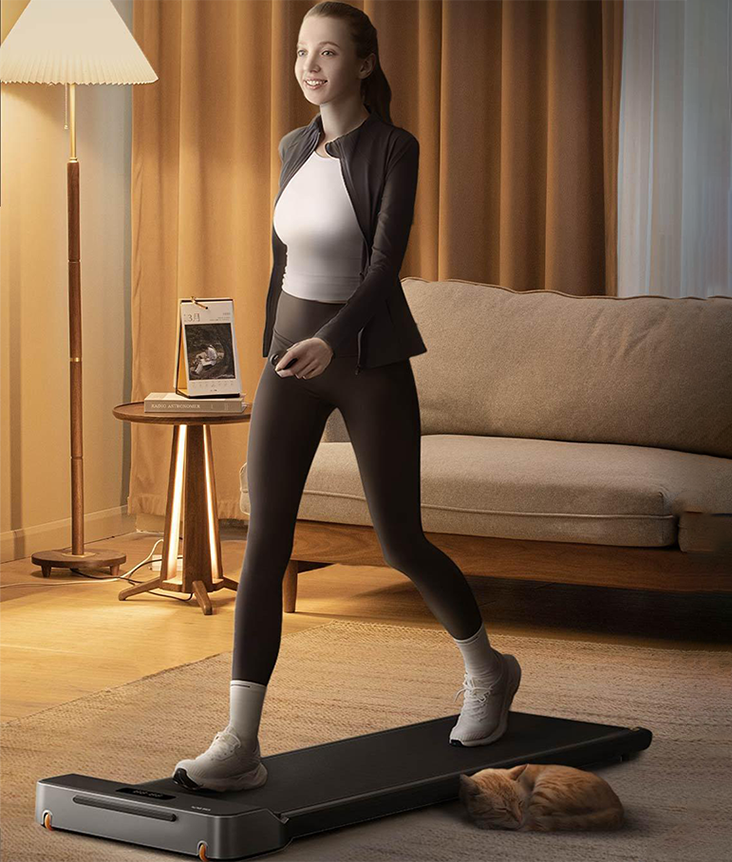KingSmith WalkingPad Z1 KingSmith WalkingPad Z1