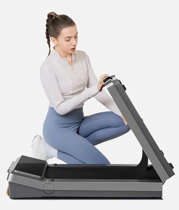 KingSmith WalkingPad Z3 KingSmith WalkingPad Z3