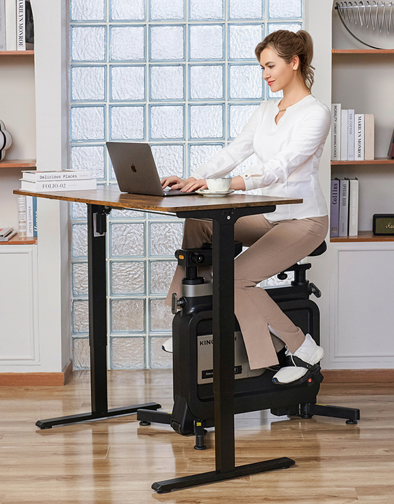 KingSmith Workstation Bike KingSmith Workstation Bike