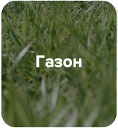 NinetyGo Alps Suitcase 20(S)