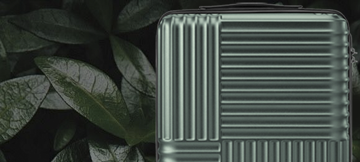 NinetyGo Himalaya Suitcase 20” (S)