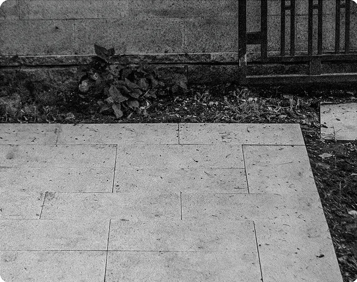 Outdoor Camera AW300 Outdoor Camera AW300