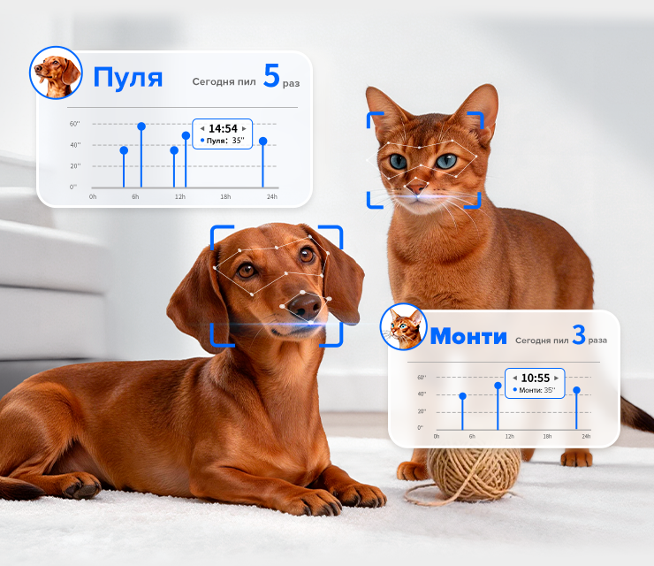 PetKit Eversweet Ultra