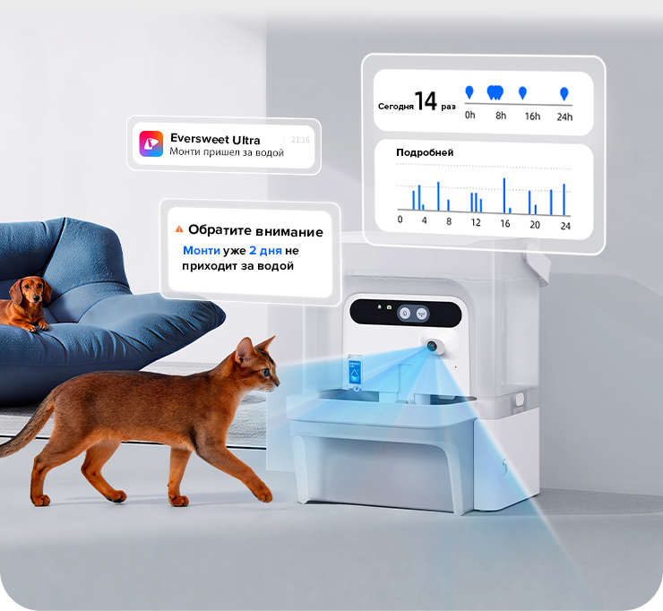 PetKit Eversweet Ultra