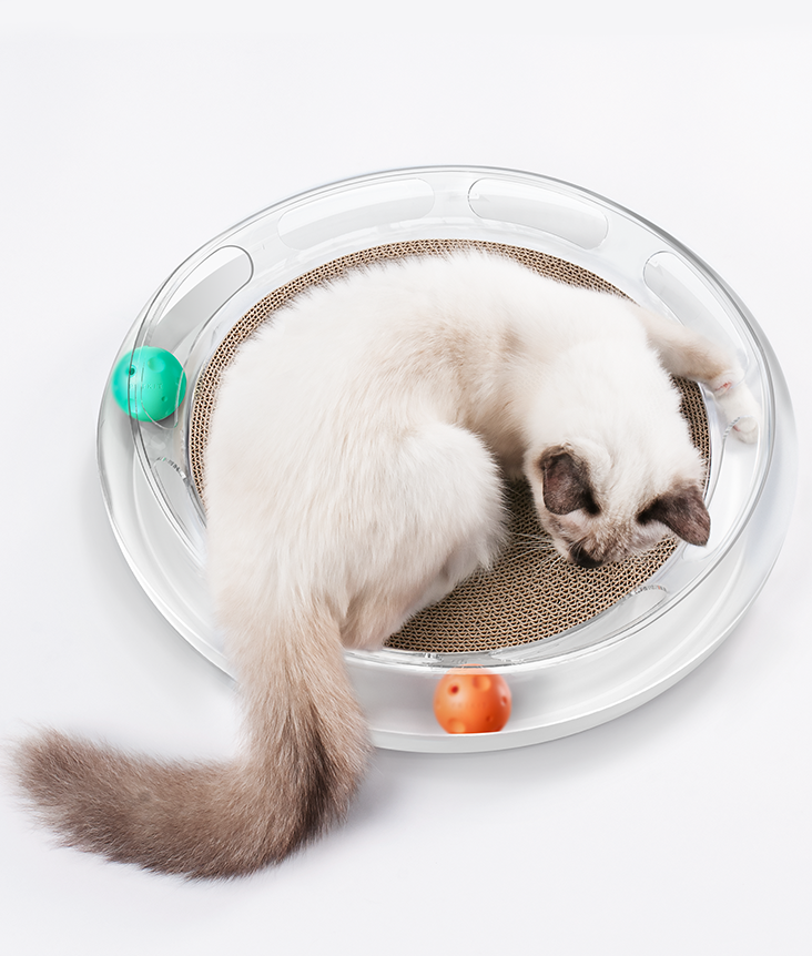 PetKit Fun 4&nbsp;in&nbsp;1