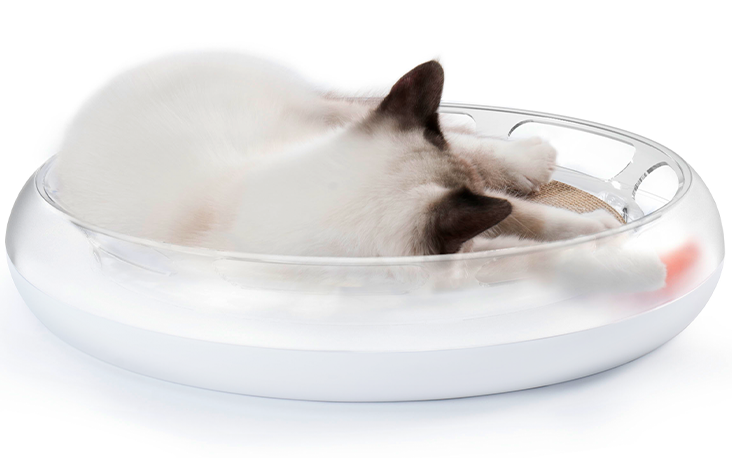 PetKit Fun 4&nbsp;in&nbsp;1