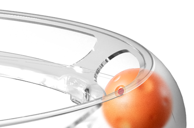 PetKit Fun 4&nbsp;in&nbsp;1