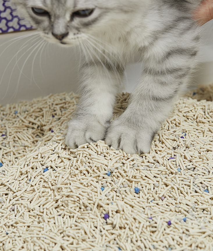 PetKit Mixed Cat Litter