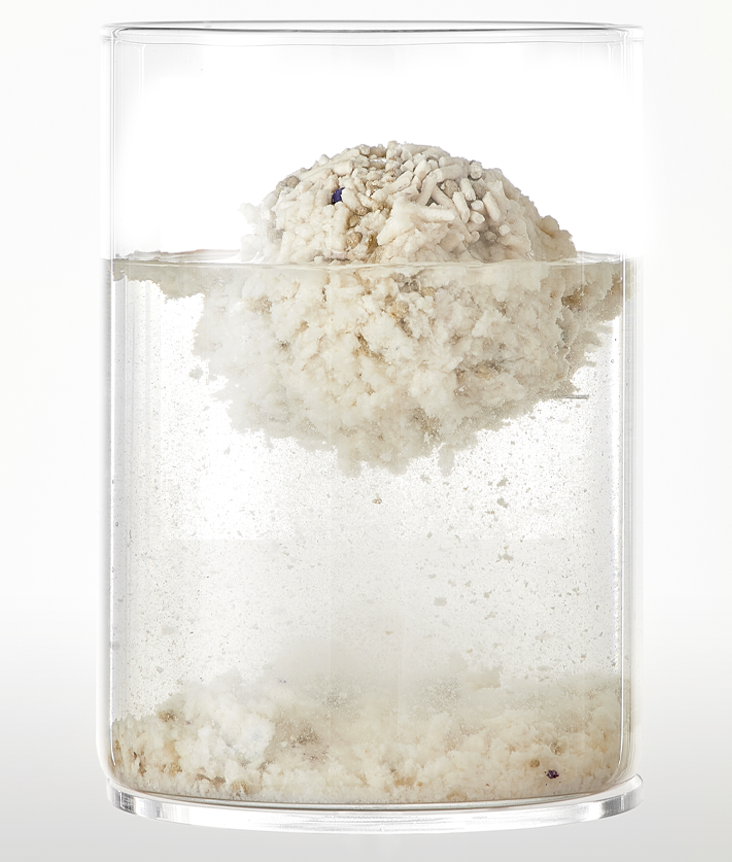 PetKit Mixed Cat Litter