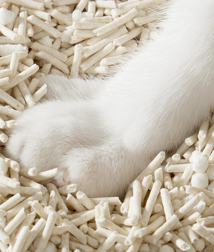 Natural Cat Litter Natural Cat Litter