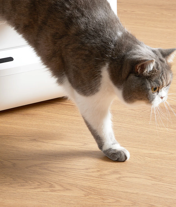 Natural Cat Litter Natural Cat Litter