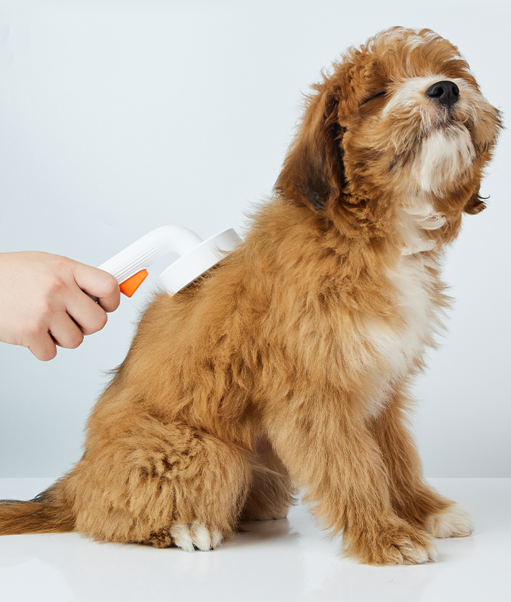 PetKit Pet Grooming Brush 2 PetKit Pet Grooming Brush 2