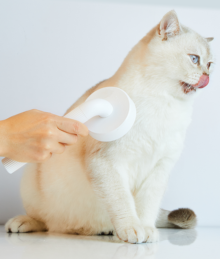 PetKit Pet Grooming Brush 2 PetKit Pet Grooming Brush 2