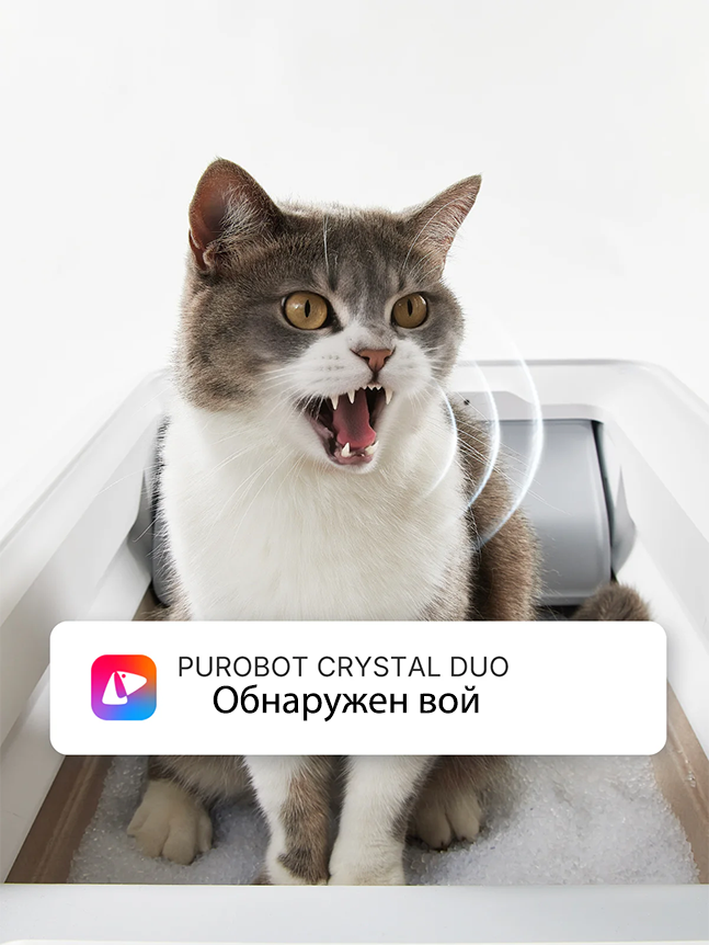 PetKit Purobot Crystal Duo PetKit Purobot Crystal Duo