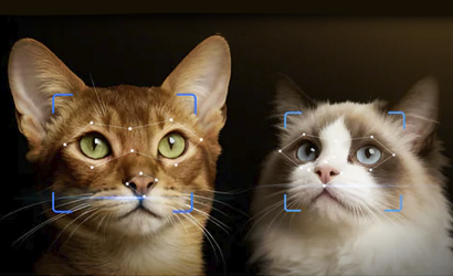 PetKit YumShare Dual-Hopper 2