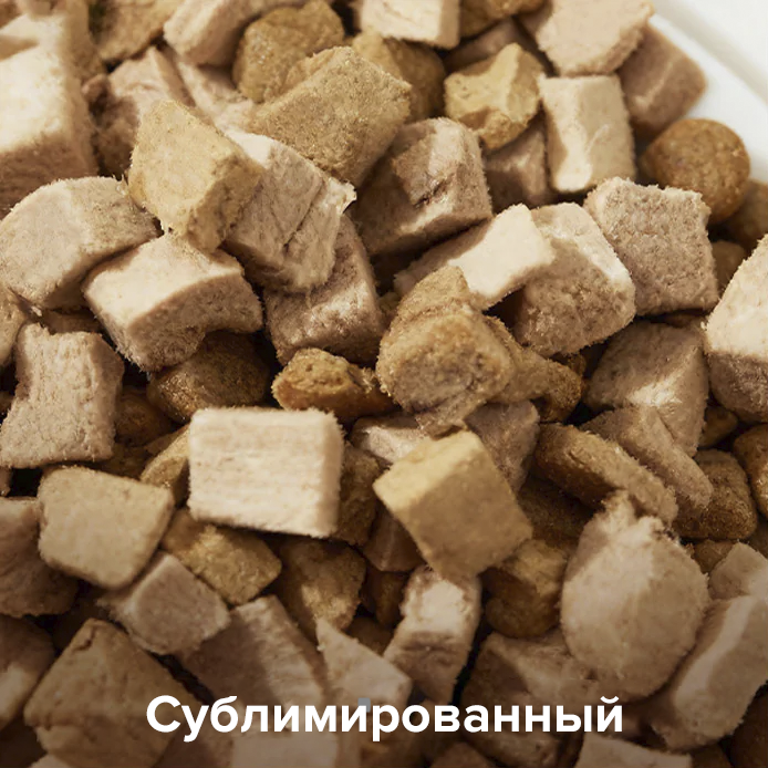 PetKit YumShare Dual-Hopper 2