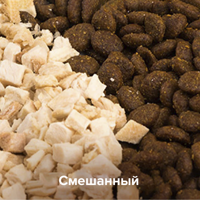 PetKit YumShare Dual-Hopper 2