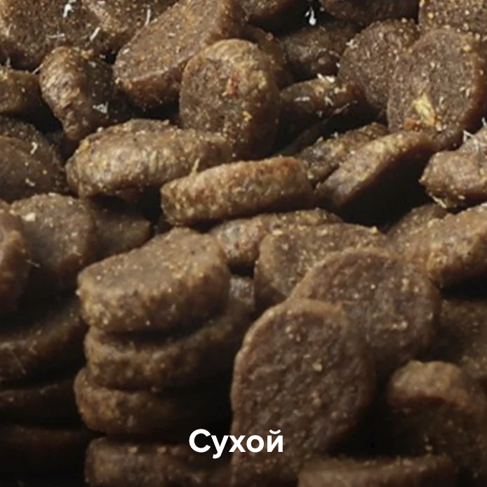 PetKit YumShare Dual-Hopper 2