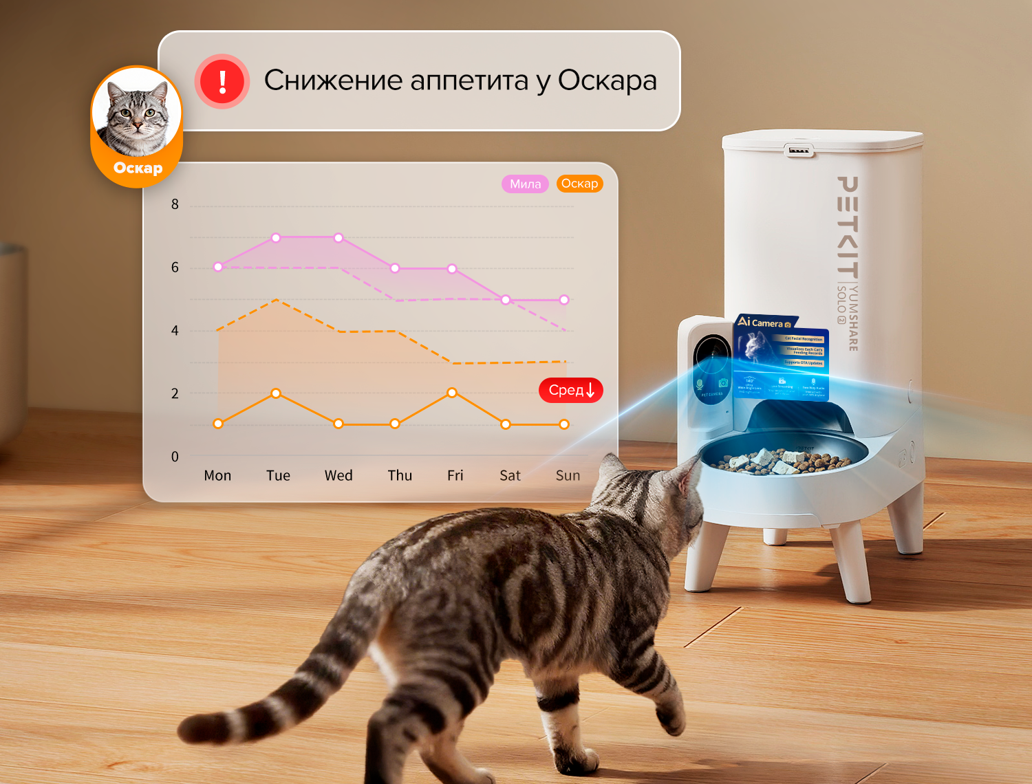 PetKit YumShare Solo 2< PetKit YumShare Solo 2<