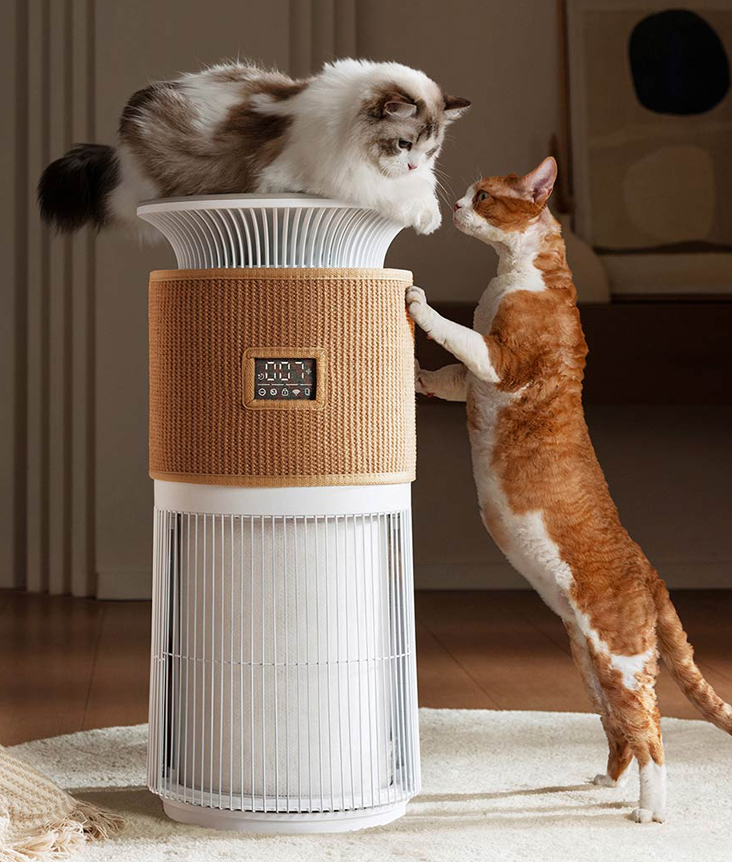 beon-pet-air-purifier-p3_1.jpg