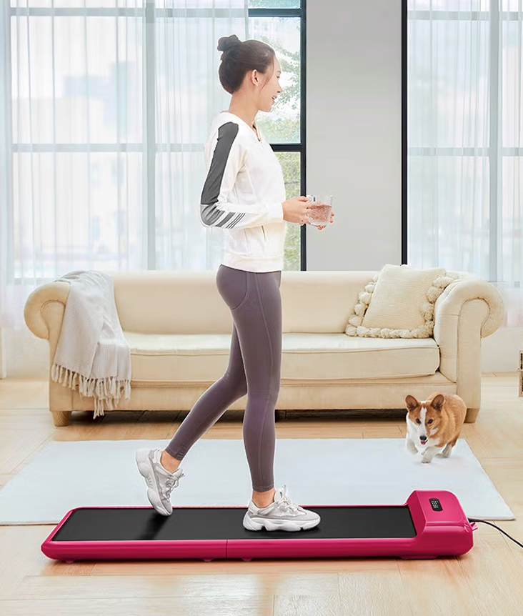 kingsmith-walkingpad-с2_1.jpg