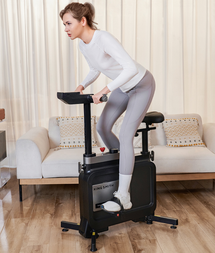kingsmith-workstation-bike_2.jpg