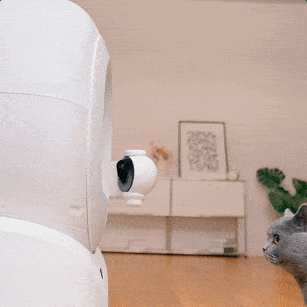 PetKit Purobot Ultra PetKit Purobot Ultra